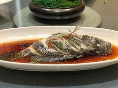 -碧丽宫大酒店(召稼楼店)