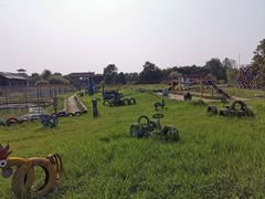 -中国扬子鳄村