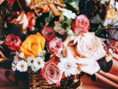 -INSDREAM FLOWER 鲜花预定·花艺培训