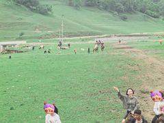 -关山草原