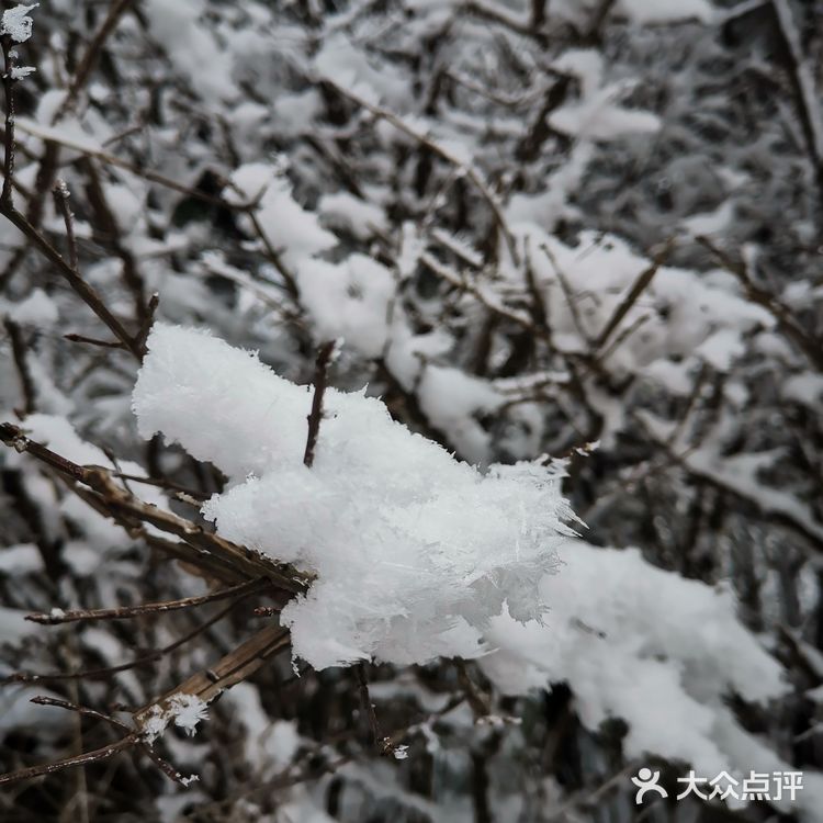 雾凇、白雪、冰挂这里都有