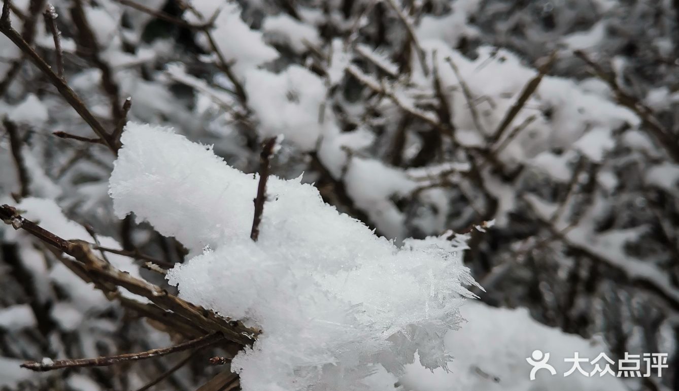 雾凇、白雪、冰挂这里都有