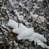 雾凇、白雪、冰挂这里都有