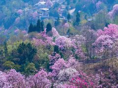-九皇山景区