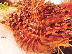 -官也街澳门火锅(新源里店)