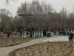 -睦南公园