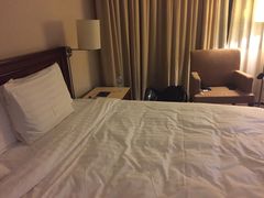 -新加坡雅庭假日酒店