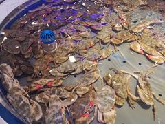 -澜悦港海鲜体验主题餐厅