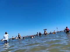 -碧海金沙