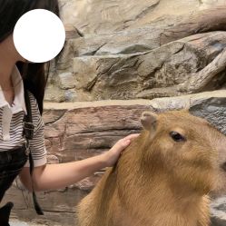 点击看大图 -Zoolung Zoolung动物主题公园(海信广场店)