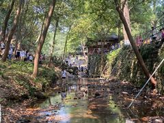 -灵隐飞来峰景区
