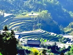 -紫鹊界梯田景区