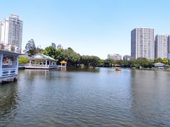 -荔湾湖公园