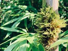 -龙苍沟森林公园