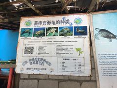 -阿波岛