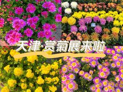 -天津水上公园