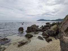 -新加坡文华东方酒店