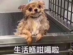 -CoCo都可(盐城大有境店)