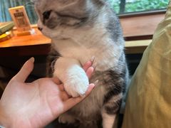 -咖法森林·咖啡  酒吧(天河店)