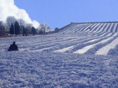 -绿野森林乐园冰雪季
