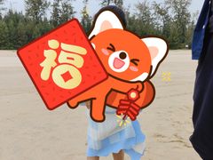 -西涌国际滨海旅游区