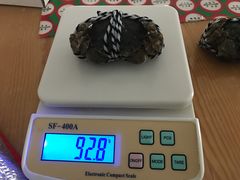 -喜洋洋蟹庄(阳澄湖店)