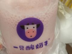-一只酸奶牛(八一路店)