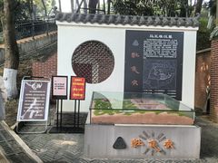 -马王堆汉墓遗址