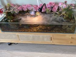 -Lumi露米·美甲美睫品质店