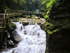 -牛背梁国家森林公园
