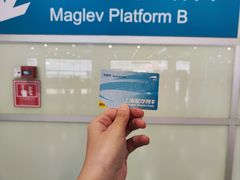 -龙阳路磁悬浮列车总站-停车场