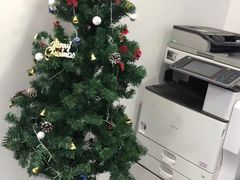 -槿言教育·雅思托福·国际教育·小语种培训留学中心(观音桥店)