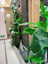 -芳朵美容养生SPA