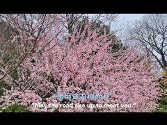 -青岛崂山太清宫