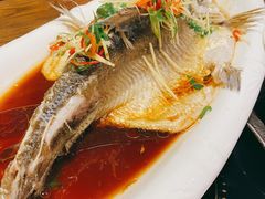 -醉美东江·三文鱼·烧鸡公