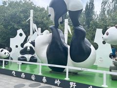 -西安秦岭野生动物园