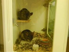 -龙猫仔乐园(惠福东路店)