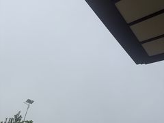 -浩运·海鲜青岛菜·海胆水饺(石老人店)