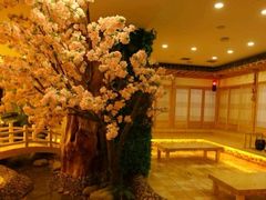 -恒坤北纬42度温泉洗浴(公园路店)