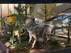 -湖南省地质博物馆