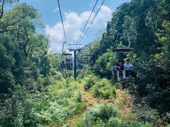 -岳麓山风景名胜区
