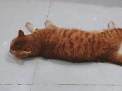 -广州市白云区图书馆