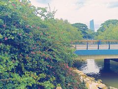 -深圳湾公园(南山区)