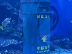 -海合安武汉极地海洋公园