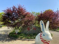 -上海海湾国家森林公园