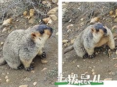 -墨石公园景区