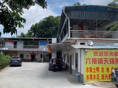 -天强农家菜馆