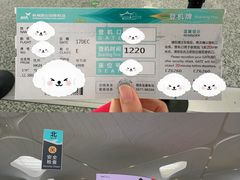 -杭州萧山国际机场