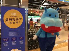 -盒马鲜生(宝地店)