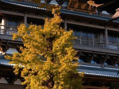 -径山寺